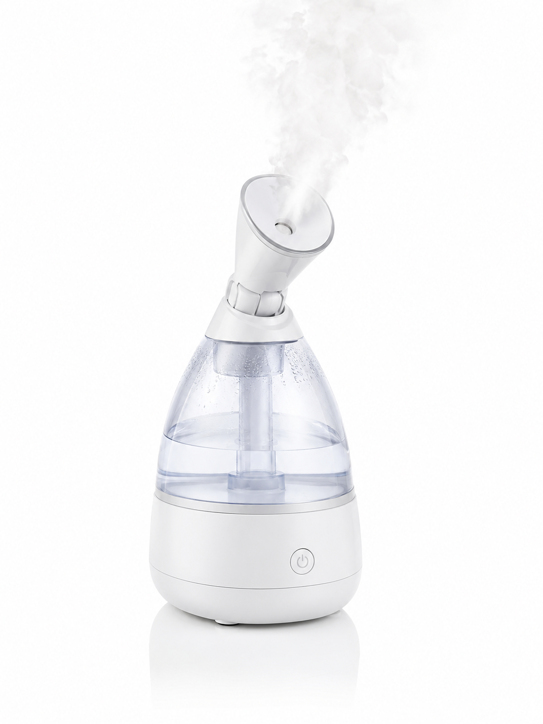 Facial Steamer
